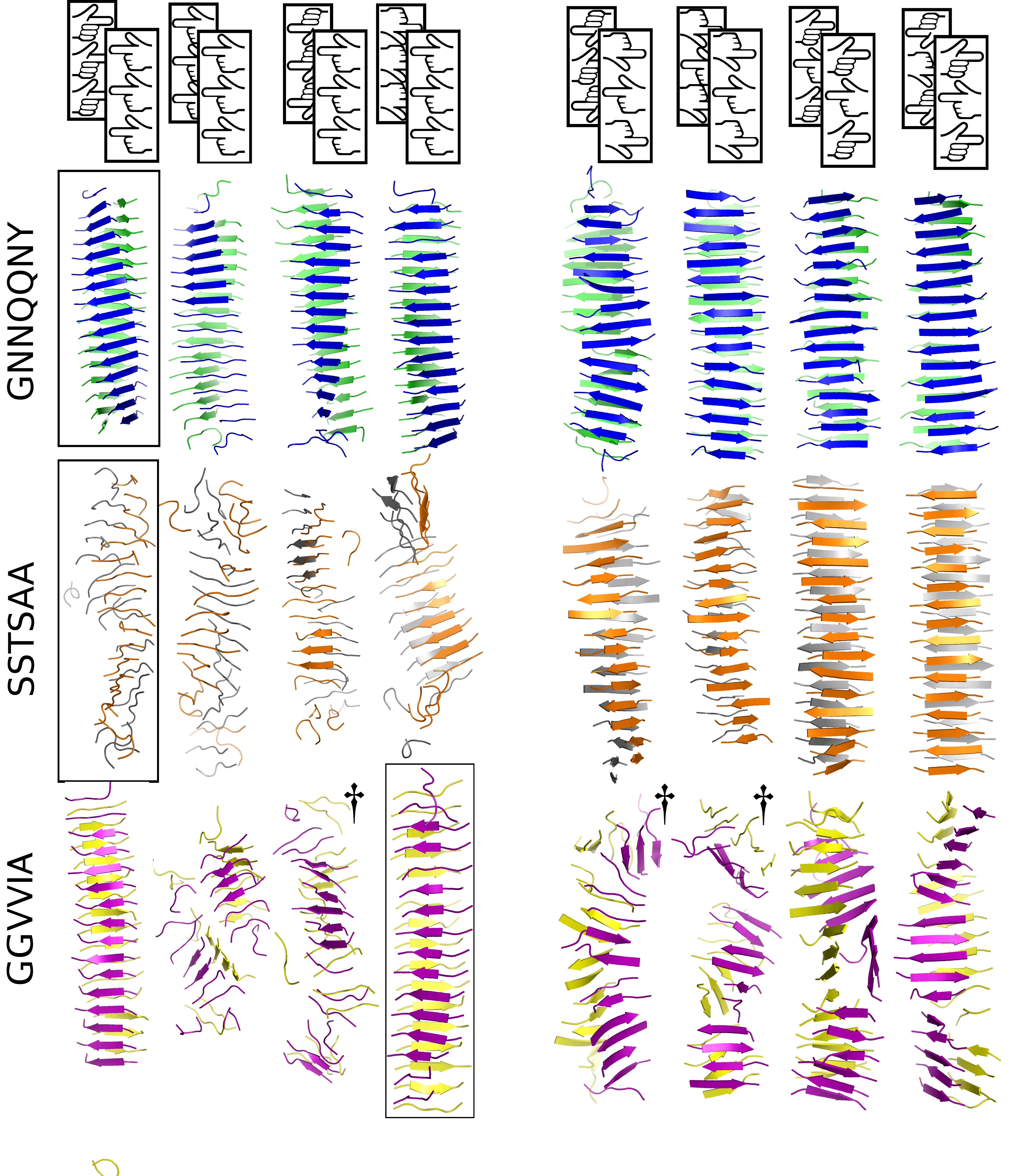 symmetry effects in amyloid aggregation